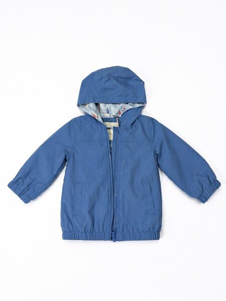 Tanka prolecna jaknica