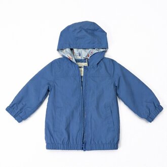 Tanka prolecna jaknica